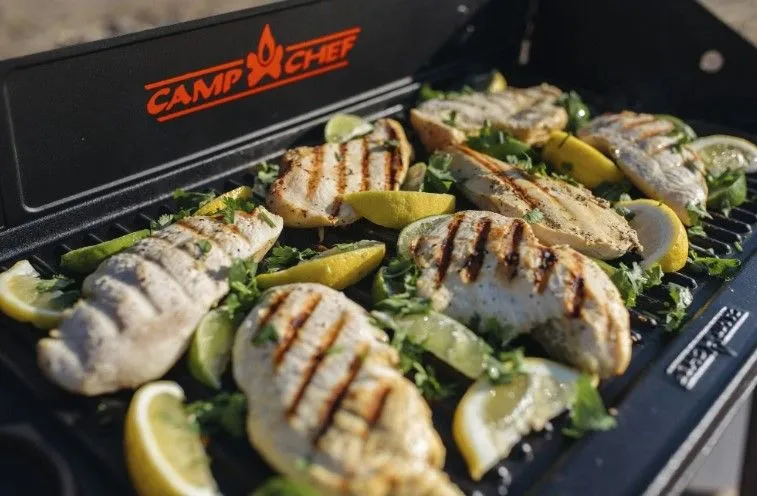 PRO GRIDDLE- 2 BURNERS 14 x 32